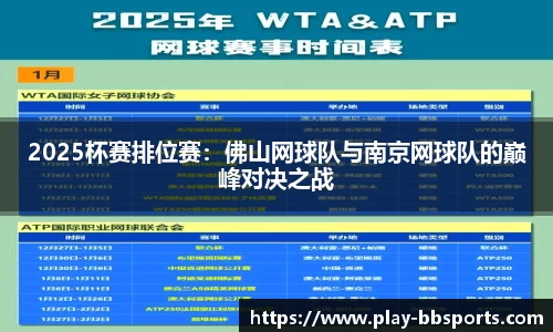 2025杯赛排位赛：佛山网球队与南京网球队的巅峰对决之战