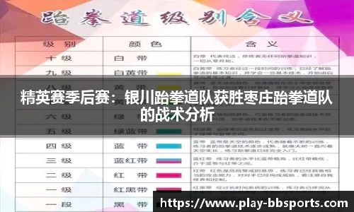 精英赛季后赛：银川跆拳道队获胜枣庄跆拳道队的战术分析
